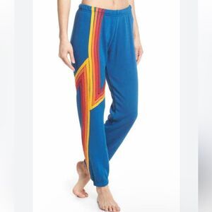 NWOT Aviator Nation Mountain Stripe Sweatpants in Ocean